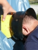 2013-08-08_080
