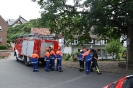 BF-Tag 2013